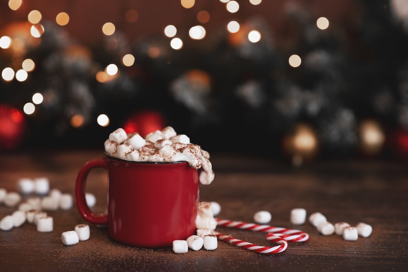 Vacances de Noël
