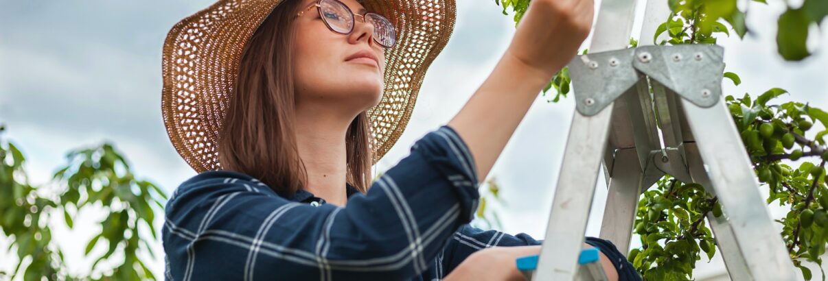 L'astrologie à votre secours pour optimiser votre jardin