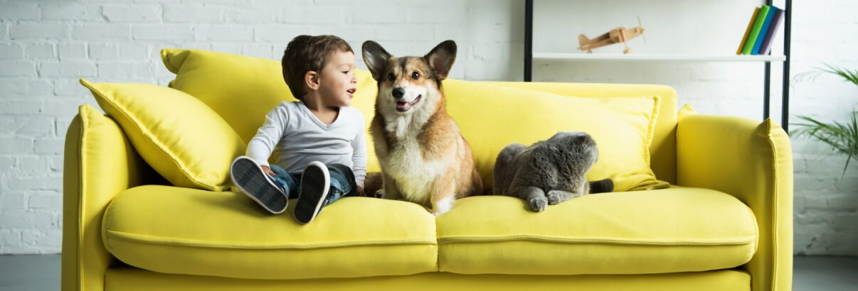 4 astuces incontournables pour prolonger la vie de votre canapé