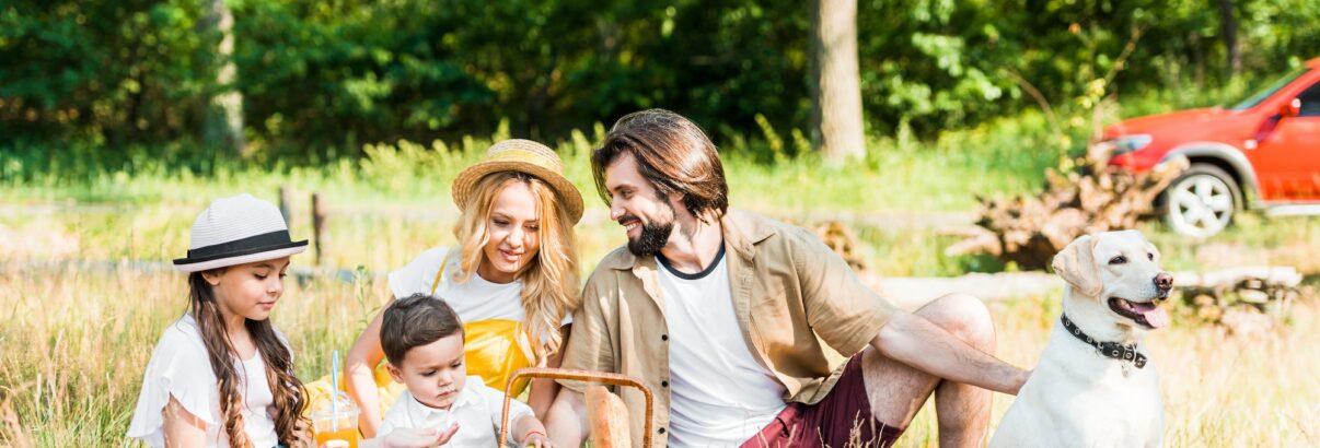 Astuces pour pique-niquer en compagnie de votre chien en toute sécurité