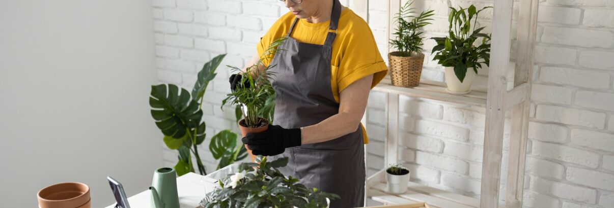 Voici les clefs d'un jardinage en pot réussi