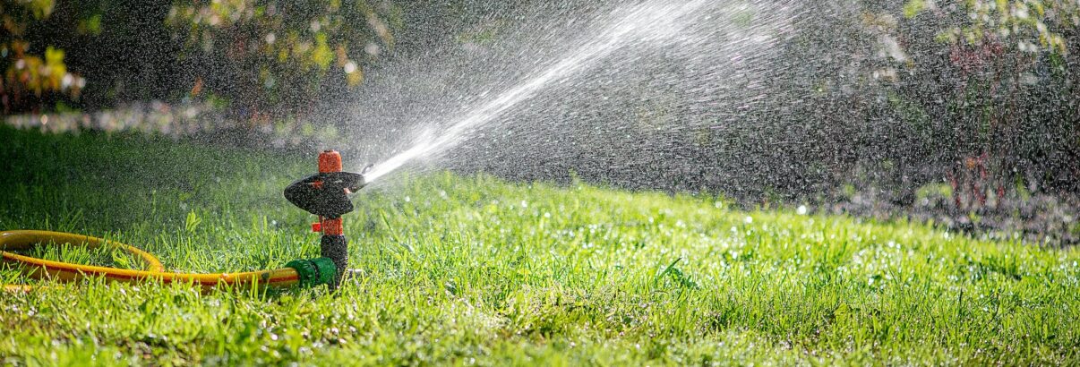 Garder votre jardin en pleine forme pendant vos vacances