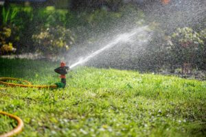 Garder votre jardin en pleine forme pendant vos vacances