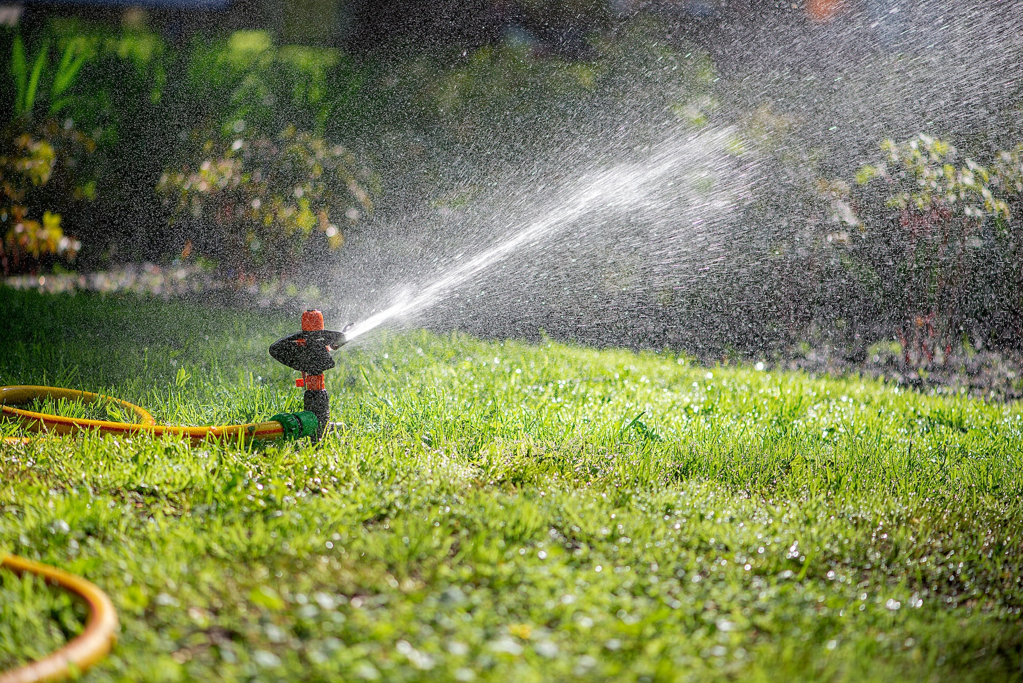 Garder votre jardin en pleine forme pendant vos vacances