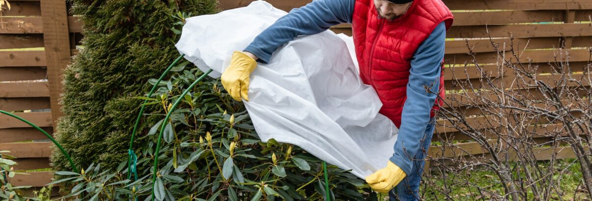 Voici des solutions efficaces pour préserver votre jardin de la grêle