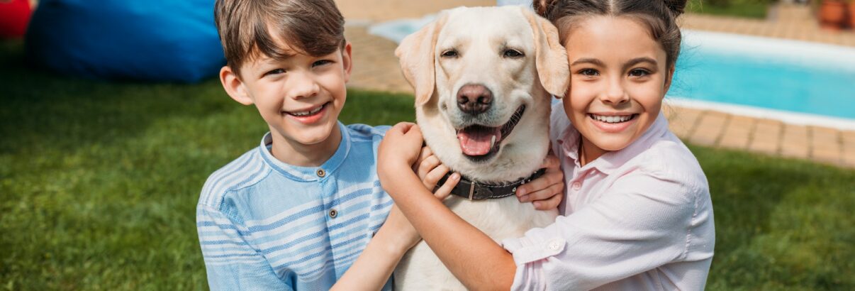 Top 3 des chiens les plus affectueux