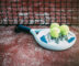 L'engouement pour le Padel : Phénomène Mexicain à Suivre !