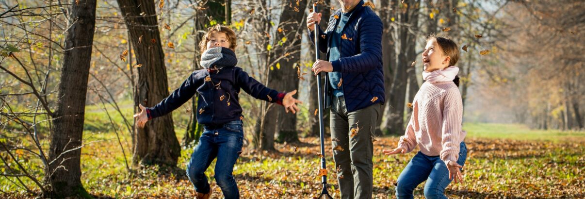 Faut-il vraiment ratisser les feuilles ? Découvrez la réponse ici !