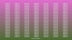 Défi Visuel : parviendrez-vous à distinguer le terme différent en un temps record et prouvez votre rapidité intellectuelle ?