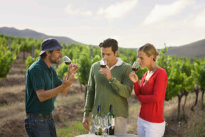 Le Beaujolais Nouveau se réinvente pour séduire à nouveau les consommateurs