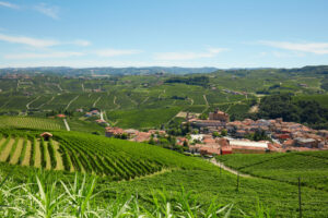 Découvrons les trésors viticoles de l'Italie