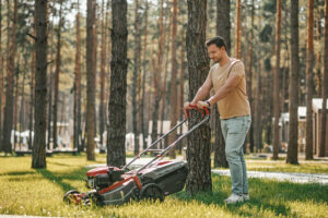 Est-il encore temps de tondre le gazon en novembre ?