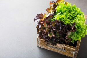Fini le gaspillage avec ces astuces de conservation de la salade
