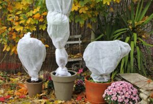 Le voile d'hivernage, une solution efficace et esthétique pour protégez votre jardin