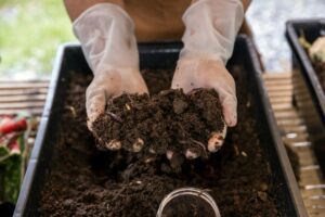 Suivez ces astuces pour fertiliser vos plantes en hiver