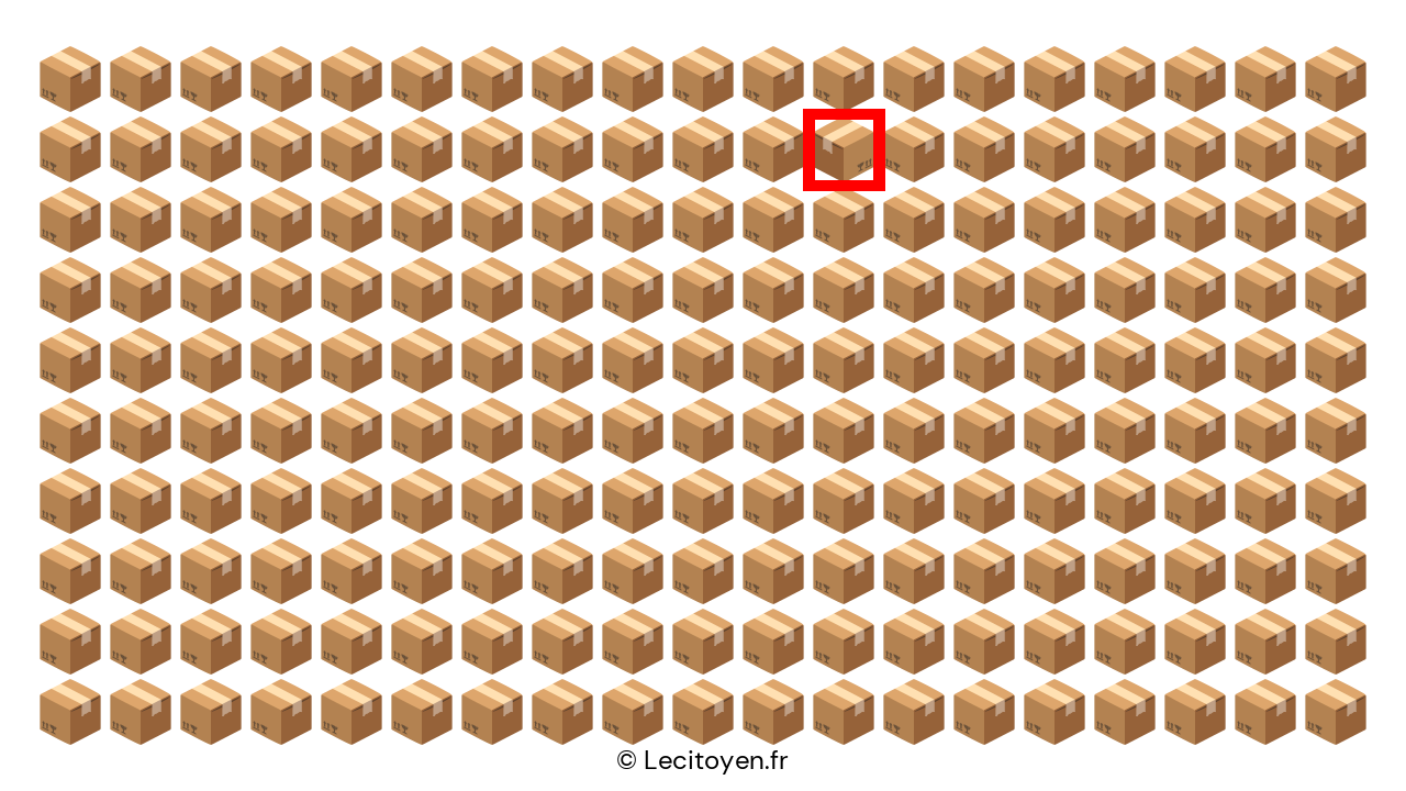 Voici l'intrus que vous deviez repérer parmi les colis ! Voici l'intrus que vous deviez repérer parmi les colis !