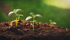 Retourner la terre : une pratique ancestrale à reconsidérer pour préserver notre sol