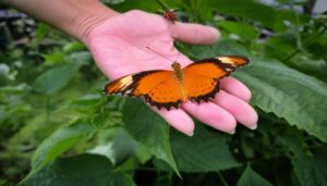 La biodiversité au jardin : un trésor à préserver et à cultiver