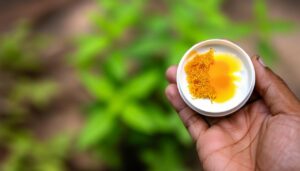 Le Baume du Tigre : des secrets de la nature à la portée de nos mains